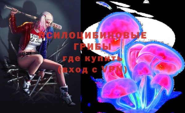 мет Заводоуковск
