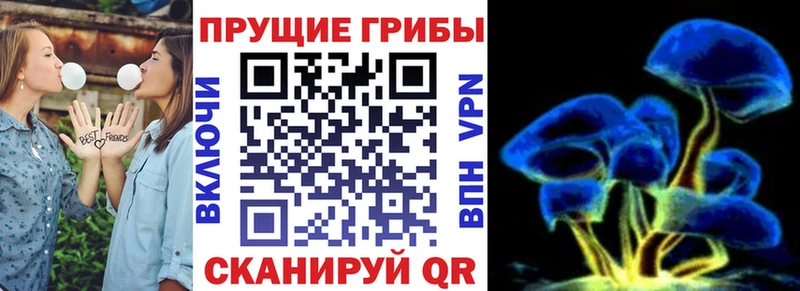Галлюциногенные грибы мухоморы  Каменка 