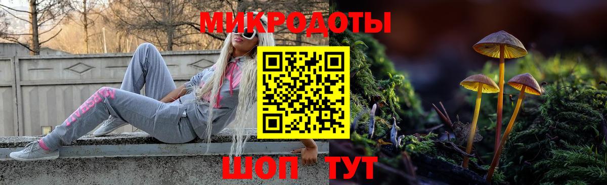 Галлюциногенные грибы GOLDEN TEACHER Каменка