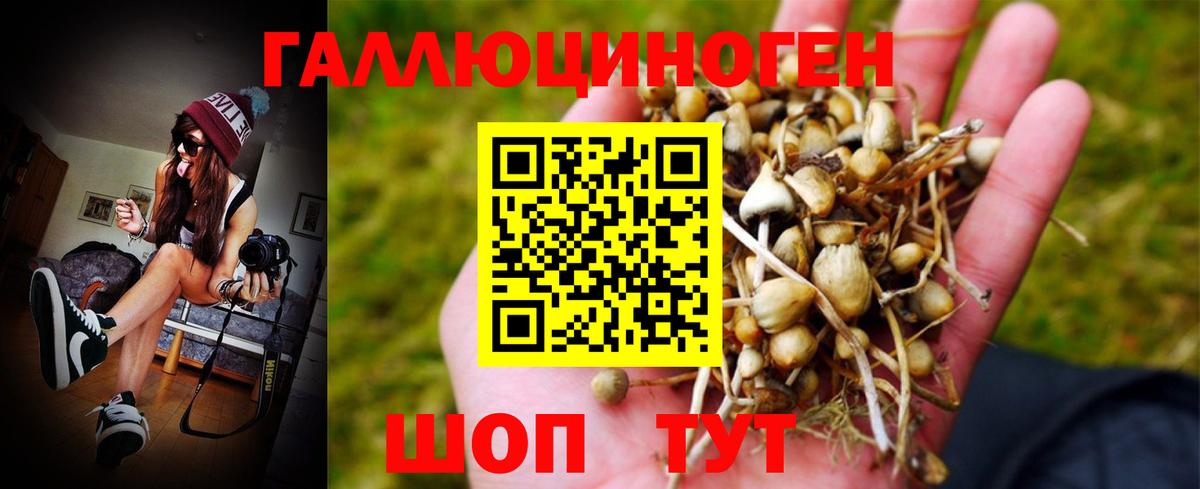 Галлюциногенные грибы Magic Shrooms  Вход с VPN  Каменка  Галлюциногенные грибы Cubensis 
