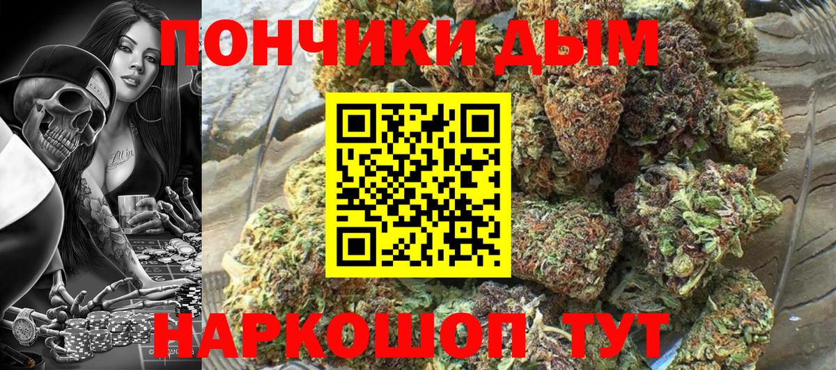 Каменка  Канабис планчик  Бошки марихуана тримм  Вход с VPN  Каннабис THC 21%  Конопля сатива 